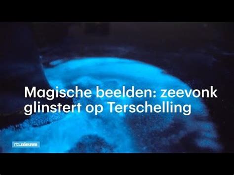 Zeevonk, lichtende nachtwolken en een ondergaande maan! Magische beelden: zeevonk glinstert op Terschelling - RTL ...