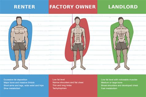 A Quick Infographic About The 3 Body Types Loveforlandlords