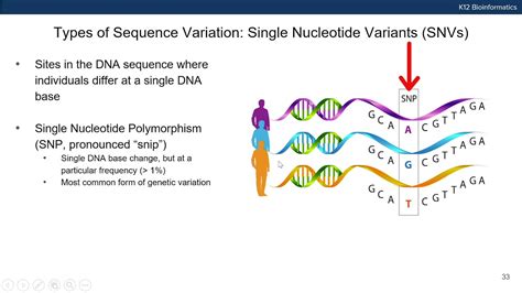 Introduction To Dna Sequence Variation Youtube