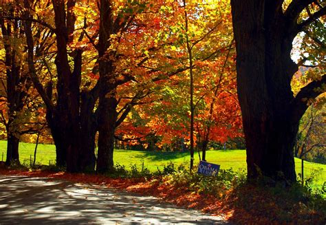 11 Country Roads In Vermont That Are Pure Bliss In The Fall Fall