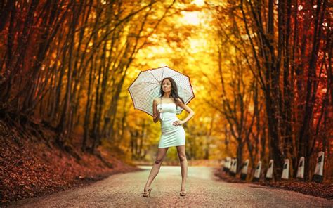 Fond Décran Lumière Du Soleil Des Arbres Forêt Tomber Feuilles Femmes En Plein Air