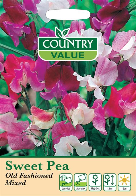 Sweet Pea Seeds Old Fashioned Mixed By Country Value Uk