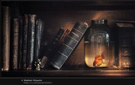 40 Cool Examples Of Still Life Photography
