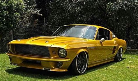 Golden Stang Ford Mustang 1964 Mustang Fastback Mustang Cars Car