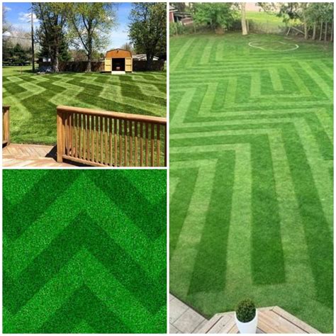 Lawn Striping Ideas To Try In Your Backyard In 2023 A Nest With A Yard
