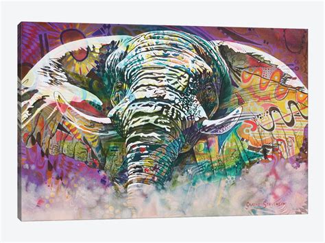 Psychedelic Elephant Canvas Artwork By Graeme Stevenson Icanvas