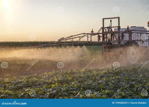 Tractor Spraying Pesticides On Vegetable Field With Sprayer Stock Image Image Of Green Nature