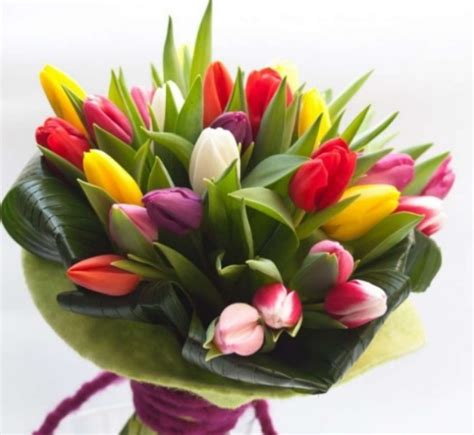 Fiori per compleanno 40 anni i primi 40 anni sono un traguardo importante nella vita di ognuno tantissimi auguri con bellissimi fiori. quali fiori regalare ad un uomo per il suo compleanno ...