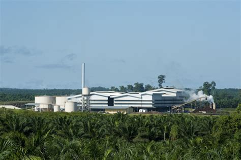 Recent sampling was on 4 september 2012 (certificate number. Oil Palm processing plant within plantation, Bintulu ...