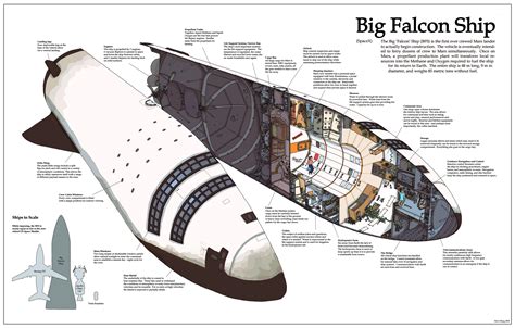 Cutaway Diagram Of The Spacex Bfr The 1st Spaceship Designed For