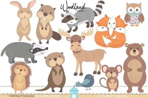 Woodland Forest Animals Clipart 129304 Characters Design Bundles
