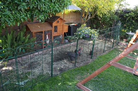 What's the best chicken wire? hendras: How to make a predator proof chicken coop