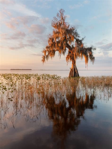 Florida Landscape Photography By Satesh Ramjattan Fine Art Prints