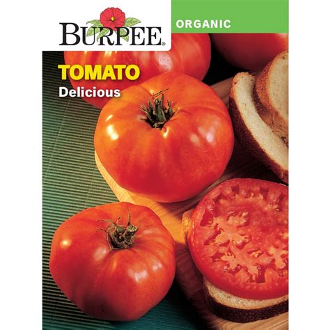 Burpee Organic Delicious Tomato Vegetable Seed 1 Pack