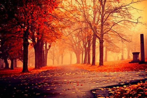 Autumn Wallpaper ·① Download Free Cool Hd Wallpapers For Desktop