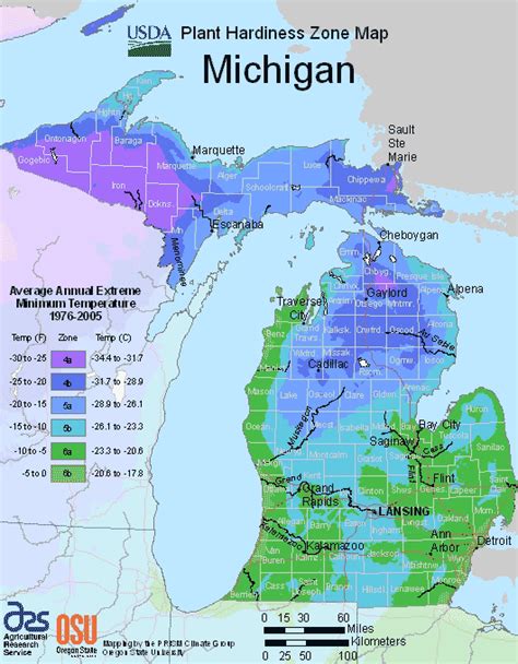 Michigan Growing Zone Map For Plant Hardiness