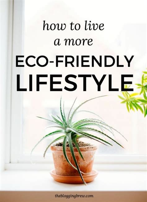 How To Live A More Eco Friendly Lifestyle The Blogging Brew Organic