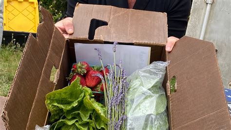 Harvest Box Programs Expands To Include More Locations In North Coast