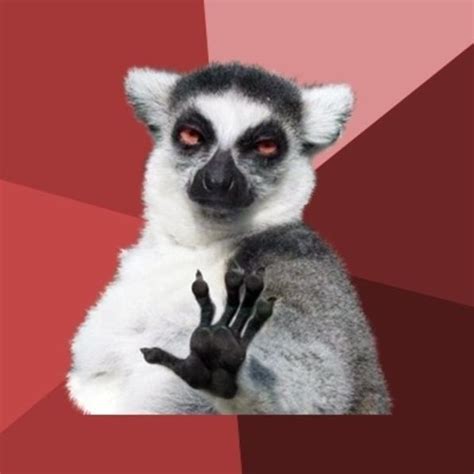 Lemur Meme