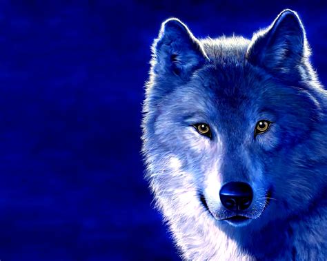 3d Wolf Hd Desktop Best Quality Wallpapers Top Quality Wallpapers