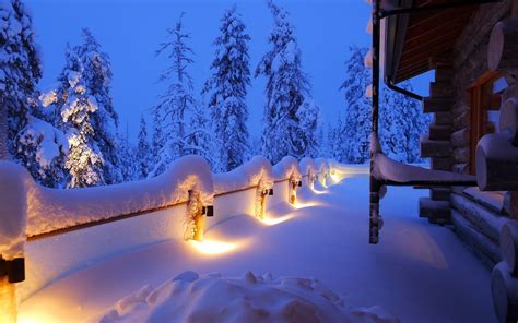 Landscapes Nature Winter Snow Trees Forests Night
