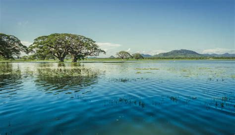 8 Enchanting Lakes In Sri Lanka To Visit On An Exotic Vacation