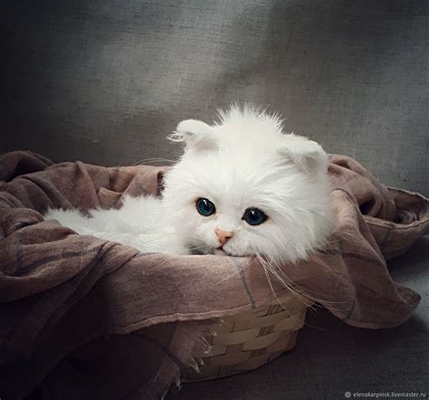 Вагону на снимке 10 лет. Тедди Зверята: белый котенок - заказать на Ярмарке ...
