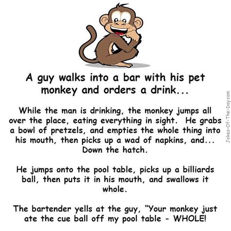 As funny as a barrel of monkeys. Monkey in a Bar - #Funny #Joke | Pet monkey, Sarcastic ...