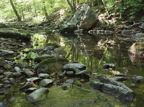 Brook Trout Fishing Report North Fork Thornton River Shenandoah