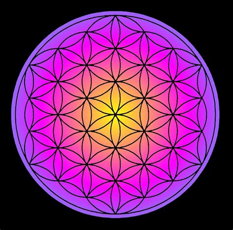 Pix For Sacred Geometry Flower Of Life Kutsal Geometri Geometri Şekil