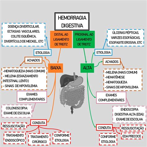 Hemorragia De Tubo Digestivo Esquemas Y Mapas Conceptuales De Images And Photos Finder