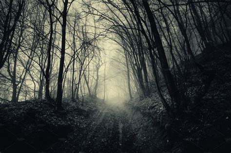 Path Through Haunted Dark Forest High Quality Nature Stock Photos