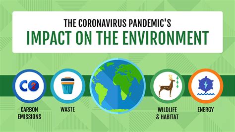 Infographic The Environmental Impact Of Covid 19