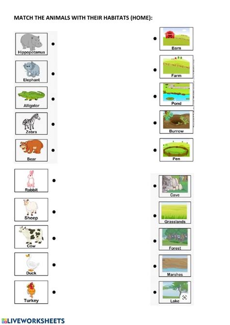 Animal Habitats And Home Interactive Worksheet Kindergarten