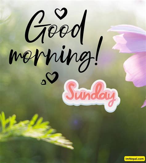 Good Morning Sunday Images 100 Wishes And Quotes