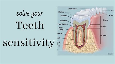 tooth sensitivity youtube