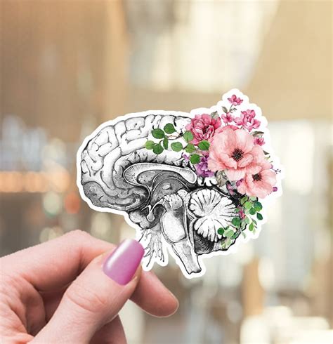 Human Brain Stickers Anatomy Flowers Stickersvinyl Etsy