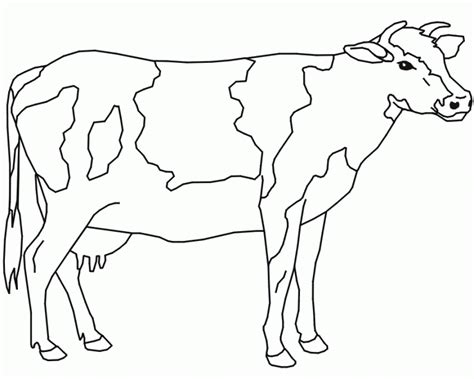 Desenhos de Vaca para Colorir e Imprimir SÓ ESCOLA