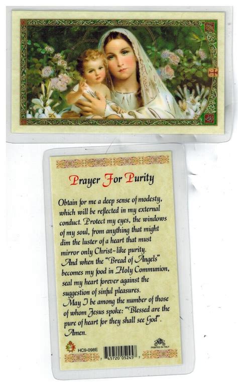 Laminated Prayer Card Of Our Lady “prayer For Purity”