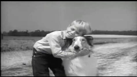 Lassie Serie De Tv EspaÑol Latino Youtube