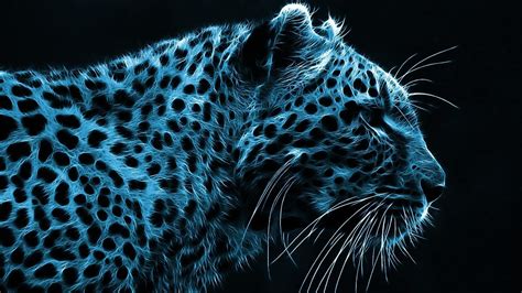 Cheetah Backgrounds 64 Pictures