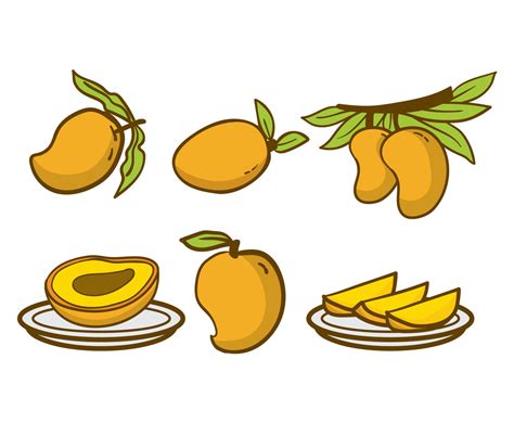 Mango Vector Vector Art And Graphics