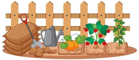 Vegetable Garden Vector Art Icons And Graphics For Free Download