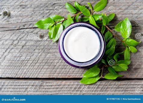Jar Of Moisturizing Facial Cream With Leaves Top View Stock Image