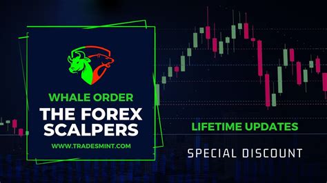 The Forex Scalpers The Whale Order Lifetime Updates Youtube