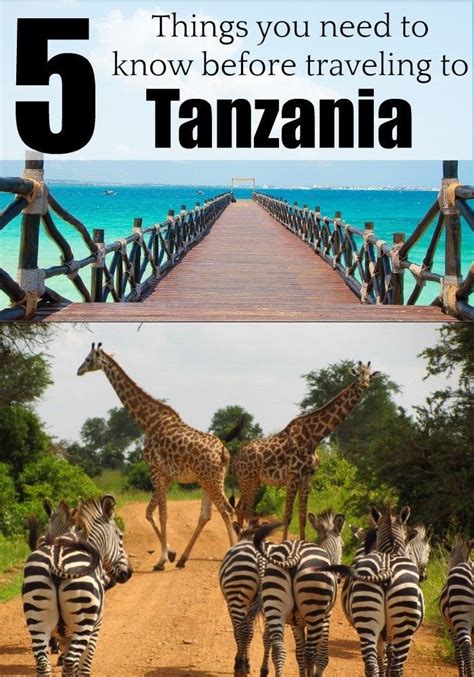 Planning Or Dreaming Of Traveling To Tanzania Then Read These 5 Important Tips To Travel To