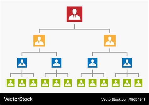 organizational chart corporate business hierarchy vector image hot sex picture