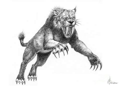 Draw A Saber Tooth Tiger