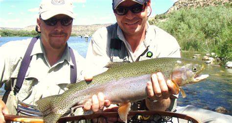 Enchanted Hideaway San Juan River Trout Fishing On The Quality Waters