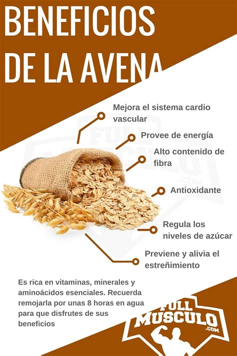 Infografia La Avena Y Sus Principales Beneficios Agua De Avena Para